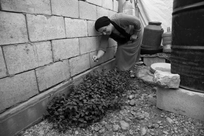 Refugee Camps in Lebanon – aus: Reportagen über Flucht, Vertreibung, Migration, Neuanfang